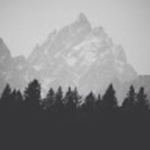 Meet your Posher, Jesse